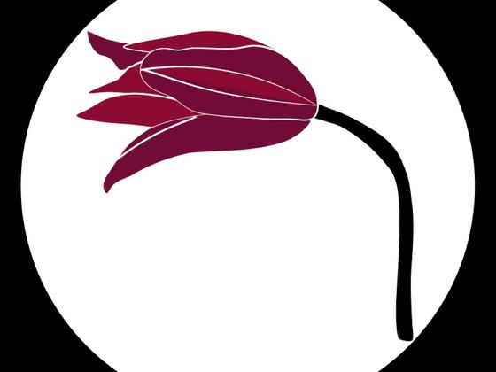 Tulipjazz - Profile Picture