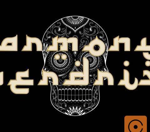  Harmony Overdrive - Profilbild